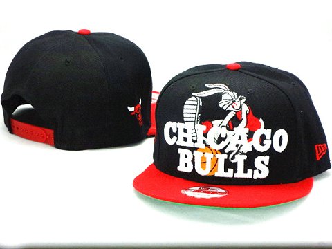 Chicago Bulls NBA Snapback Hat ZY08